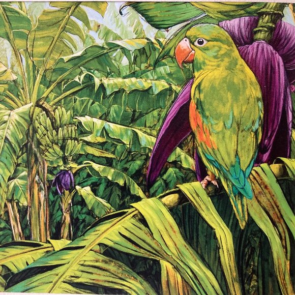 8x10" Colombia Cafe Quindio Art Print (w/mat): Orange-Chinned Parakeet - HOME - Picture 2 of 6